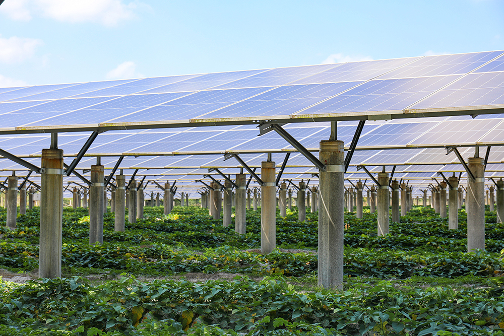 银河
文昌翁田农光互补+储能示范项目.jpg