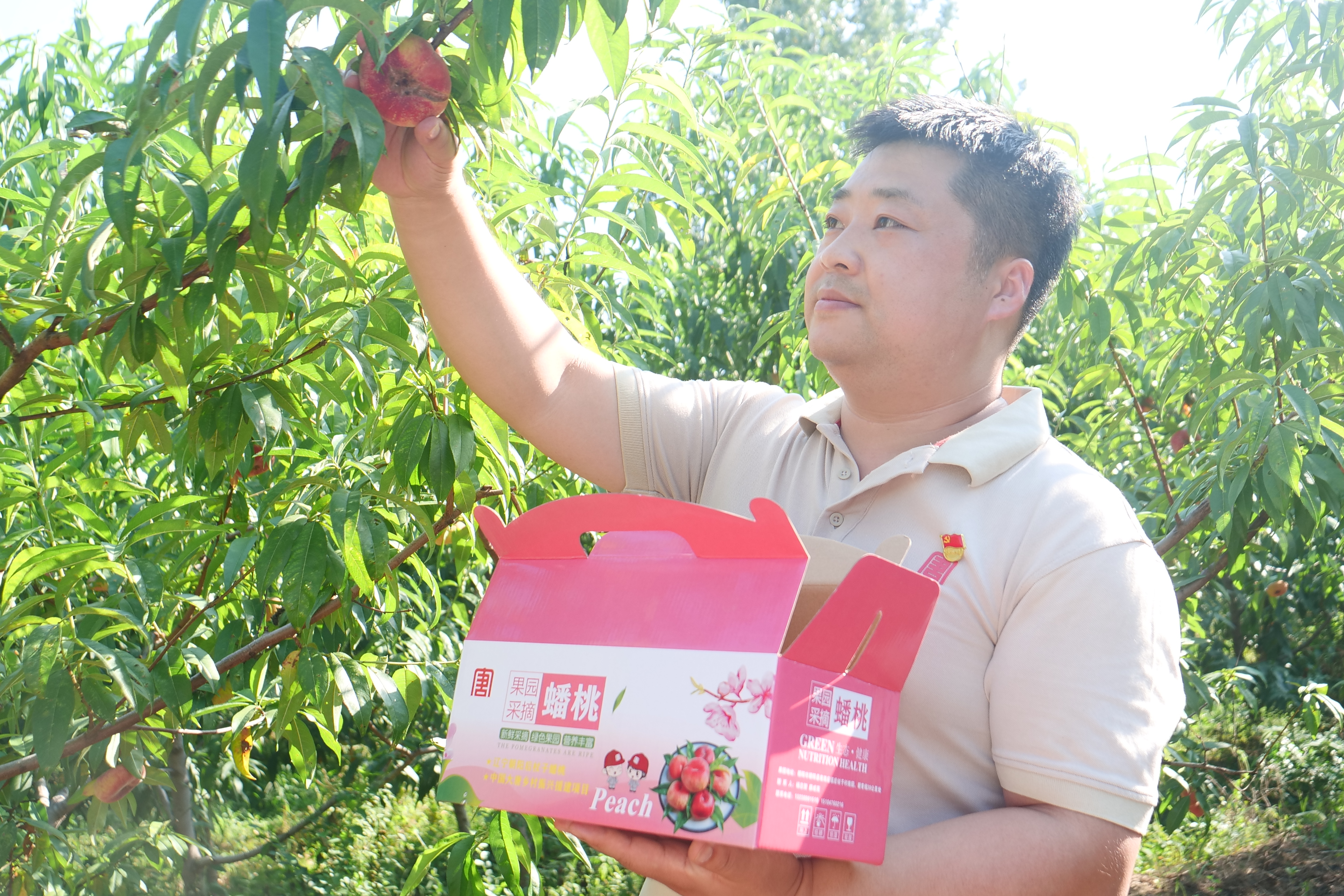 1692347415125007113.jpg 第一书记摘桃.jpg