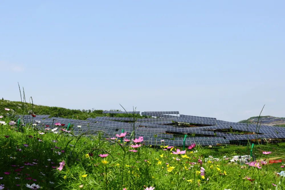 1713263265349082443.jpg 640c.jpg