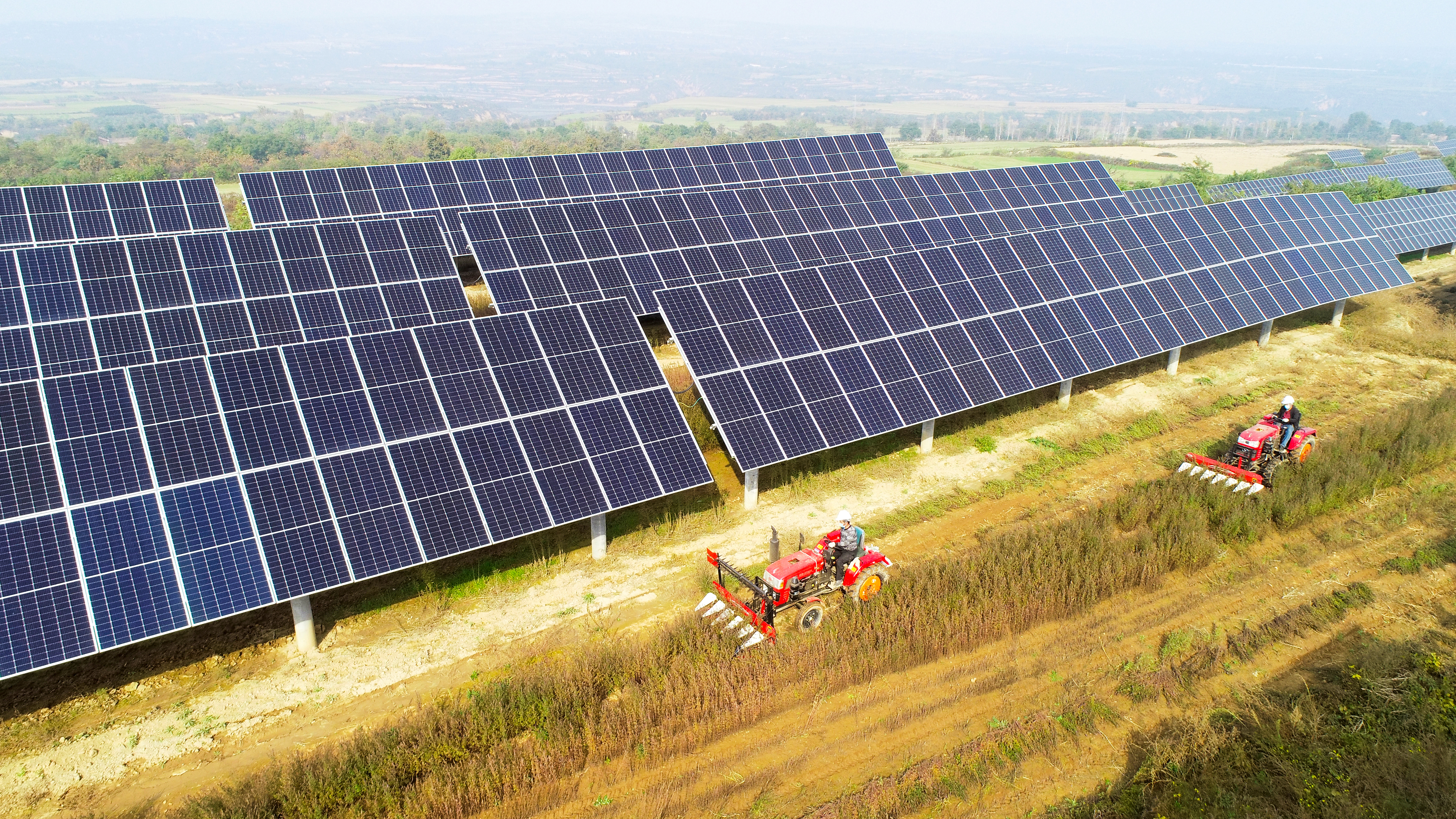 图3.银河
西安热电厂永寿高庙山光伏电站进行中草药收割工作，实现惠农共赢.jpg