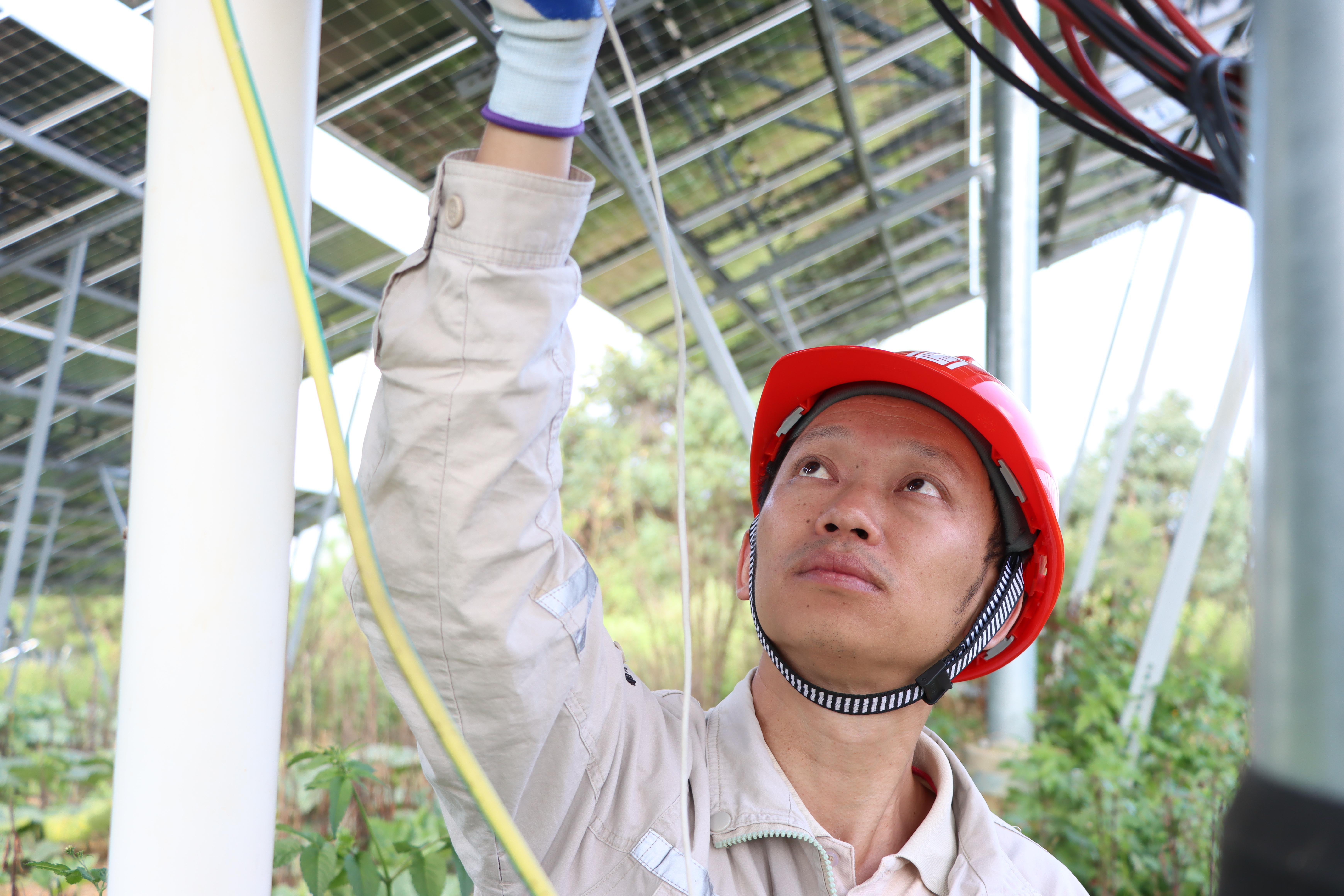 【奋斗的银河
人】滇西新能源事业部：场站的出色管理者 (2).jpg